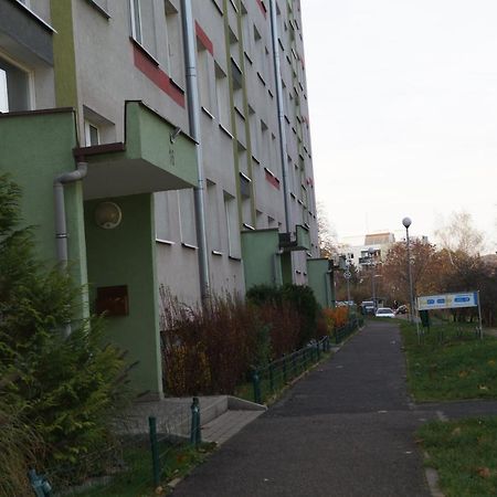 Apartmán Monica Jelení Hora Exteriér fotografie