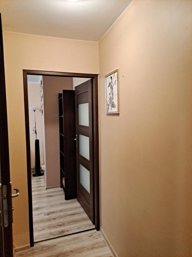 Apartmán Monica Jelení Hora Exteriér fotografie